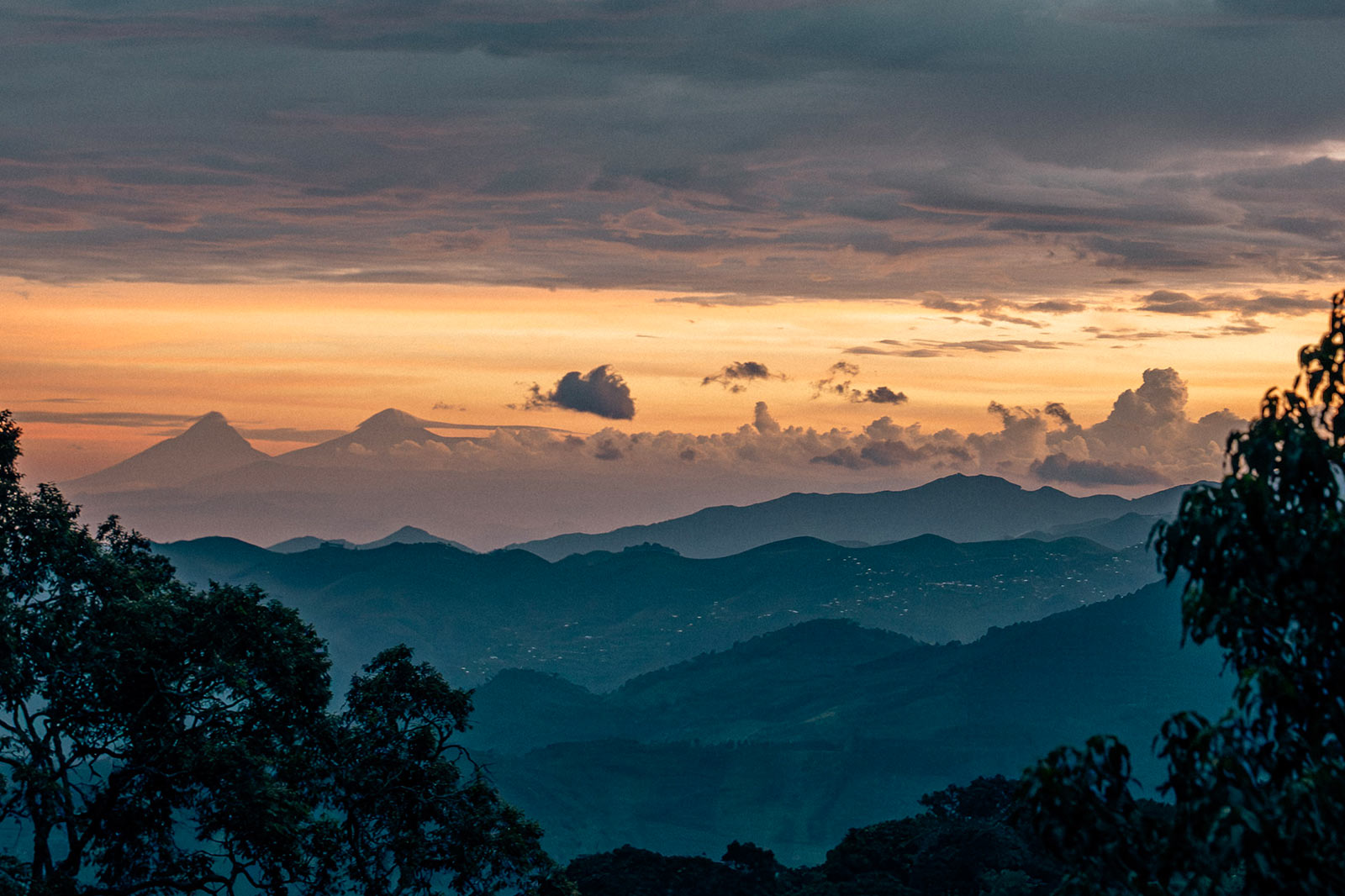 Nyungwe National Park  