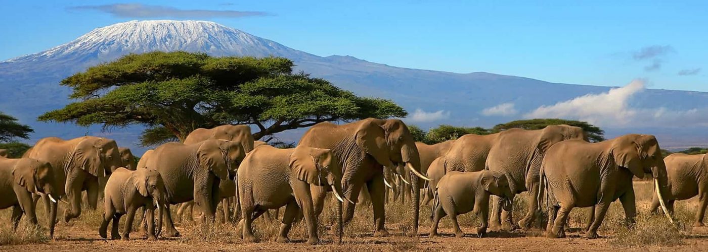 Mount Kilimanjaro National Park