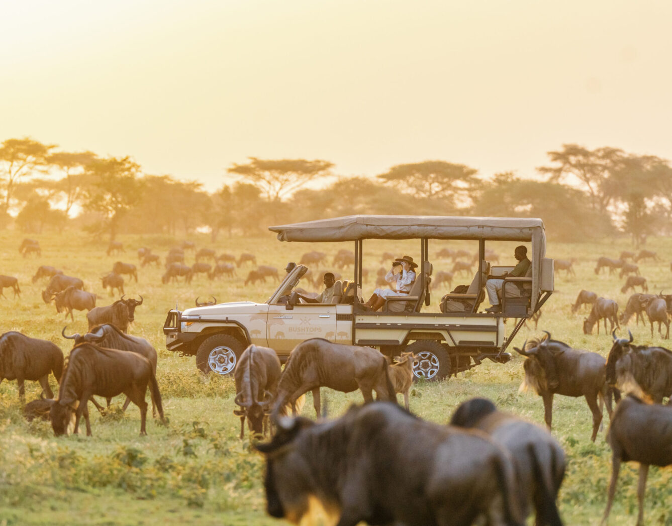 Game Drives in Maasai Mara National Reserve  