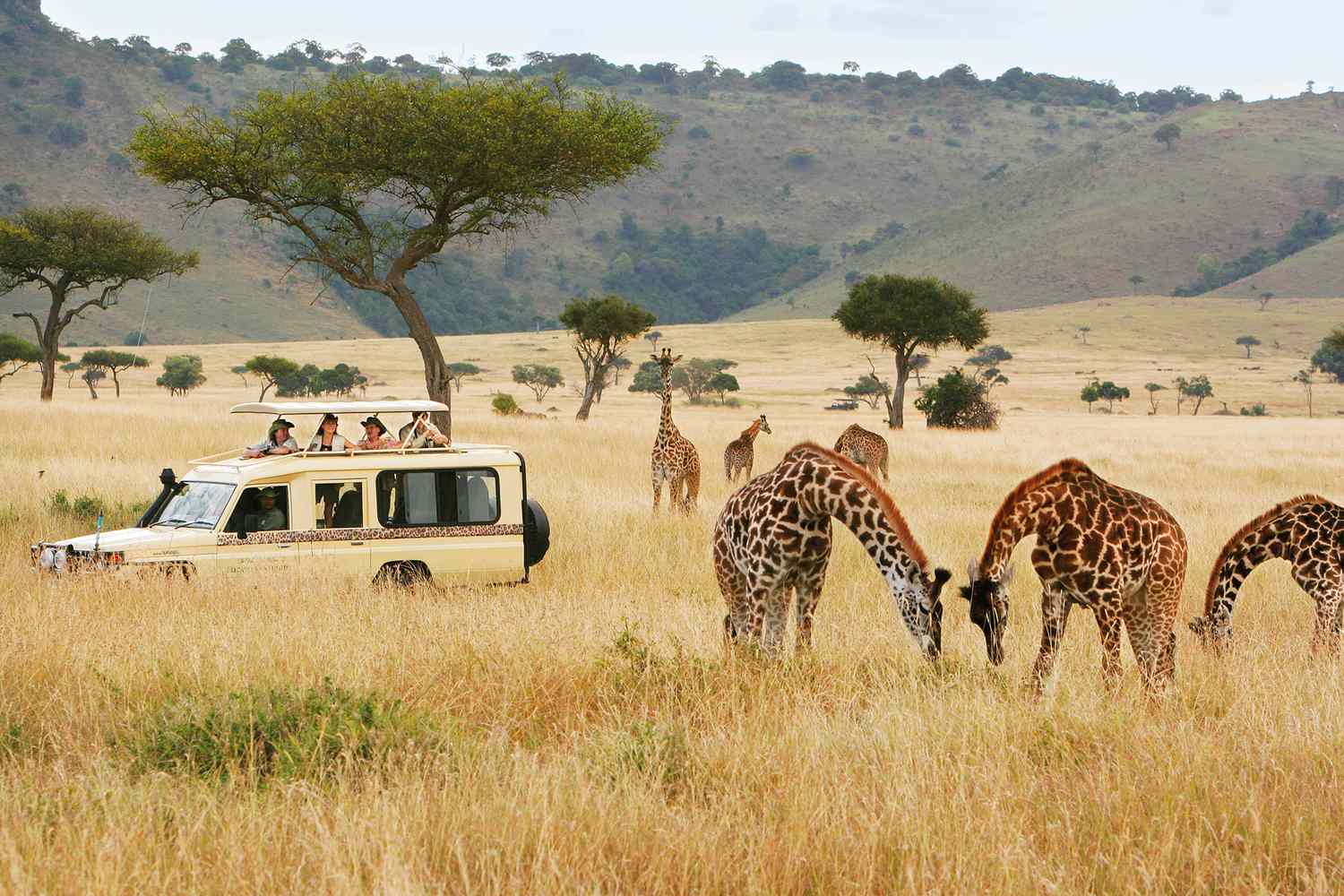 Game Drives in Tsavo National Parks
