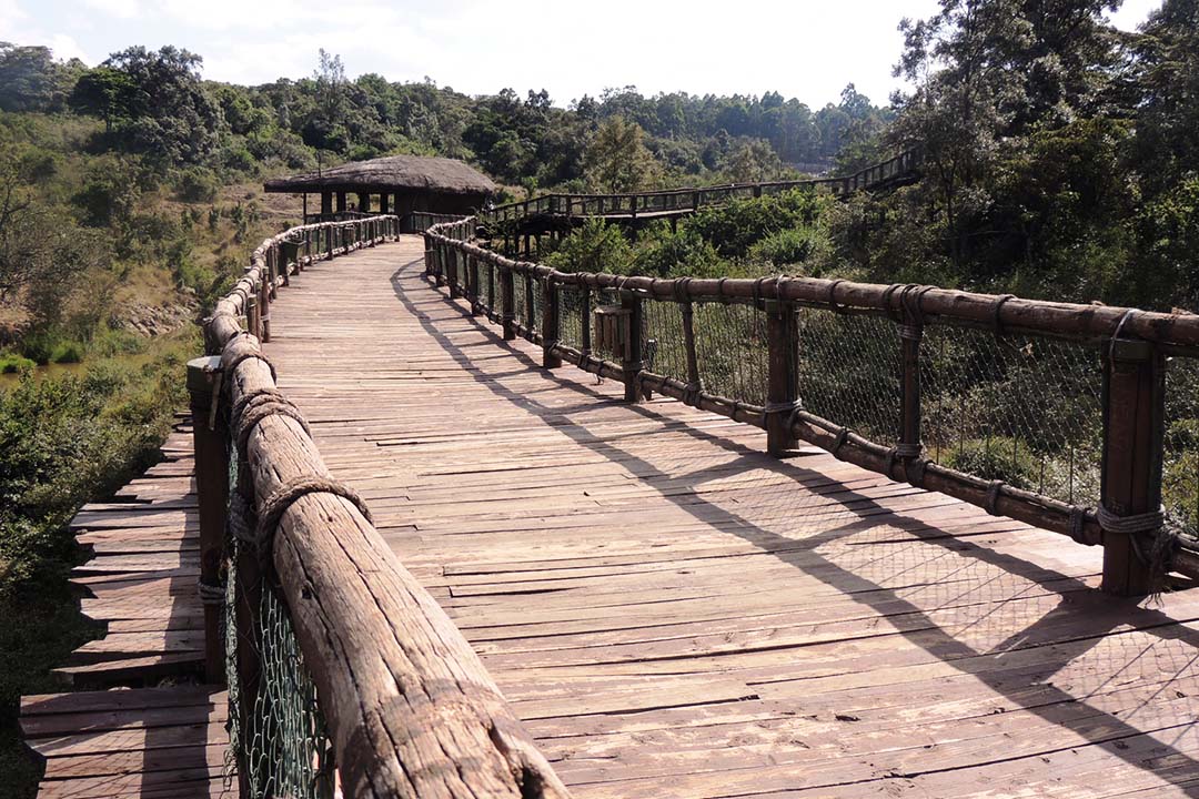  Nature Walks in Nairobi National Park