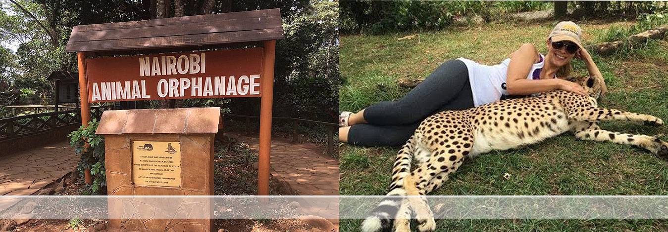 Visit the Animal Orphanage in Nairobi National Park