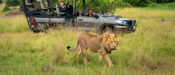 Game Drives in Akagera National Park