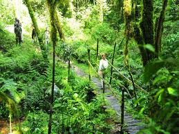 Hiking Trails