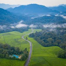 Scenic Hiking Trails