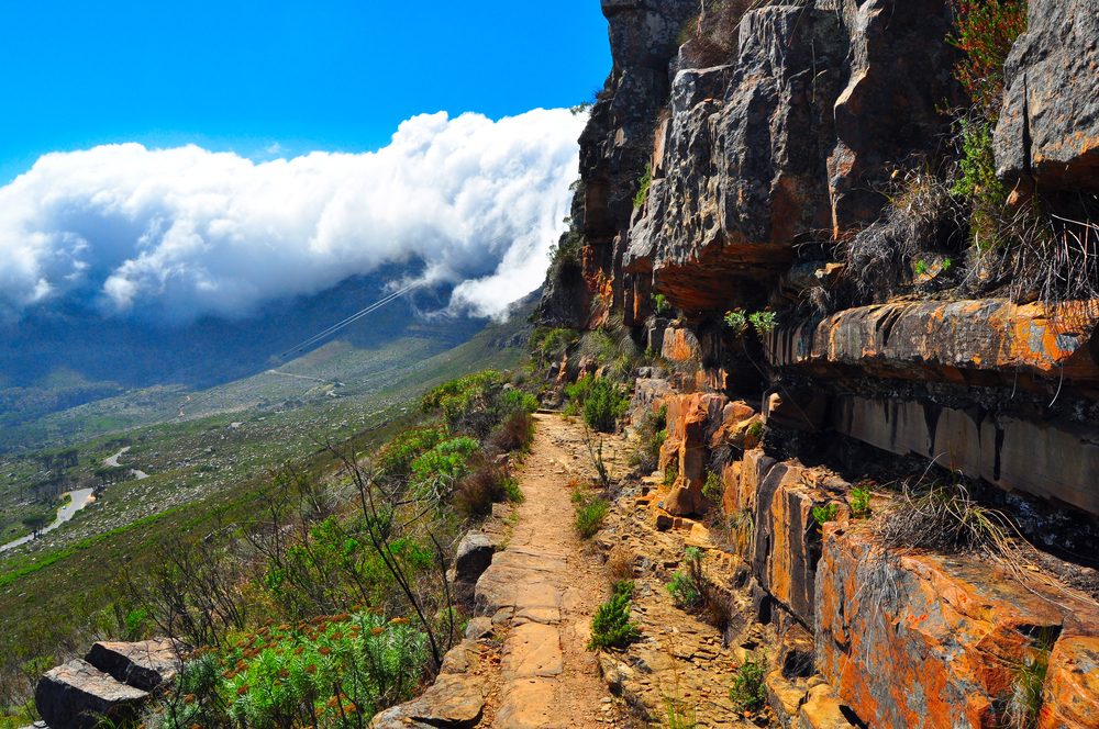 Hiking at Table Mountain National Park