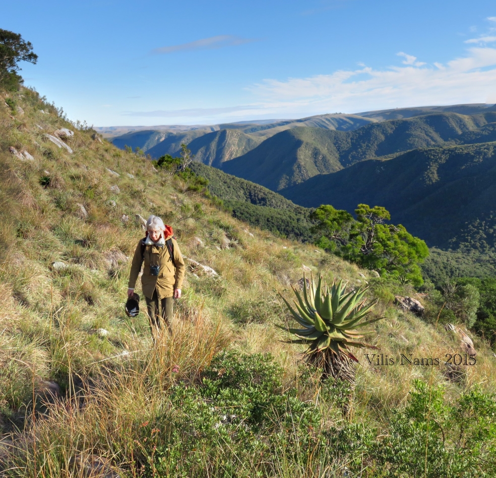 Hiking and Outdoor Adventures at Addo Elephant National Park