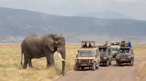Scenic Game Drives