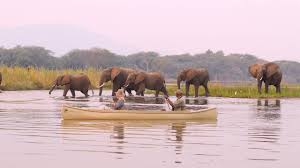 Canoe Safaris