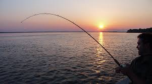 Sport Fishing