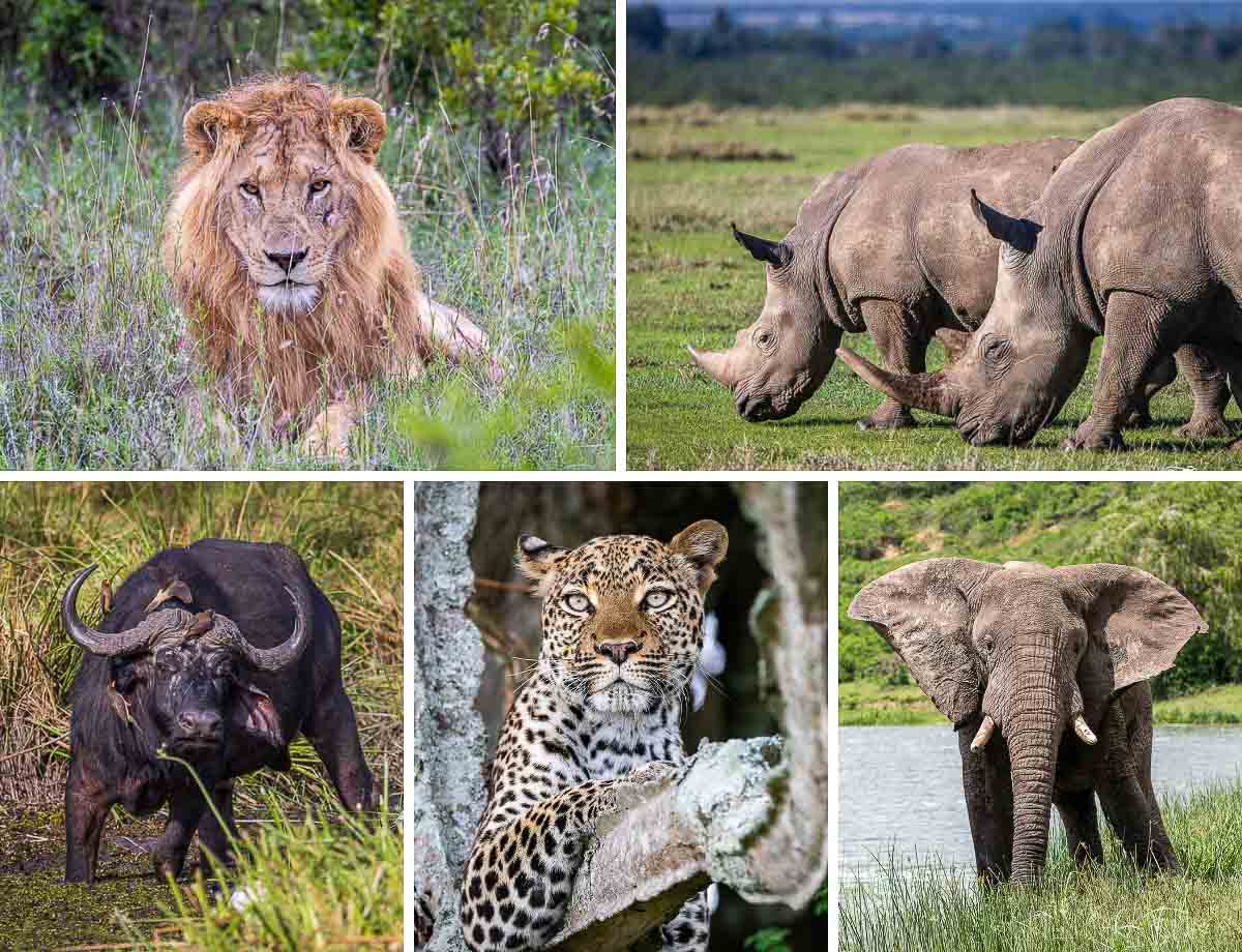 Diverse Habitats and Wildlife at Kafue National Park